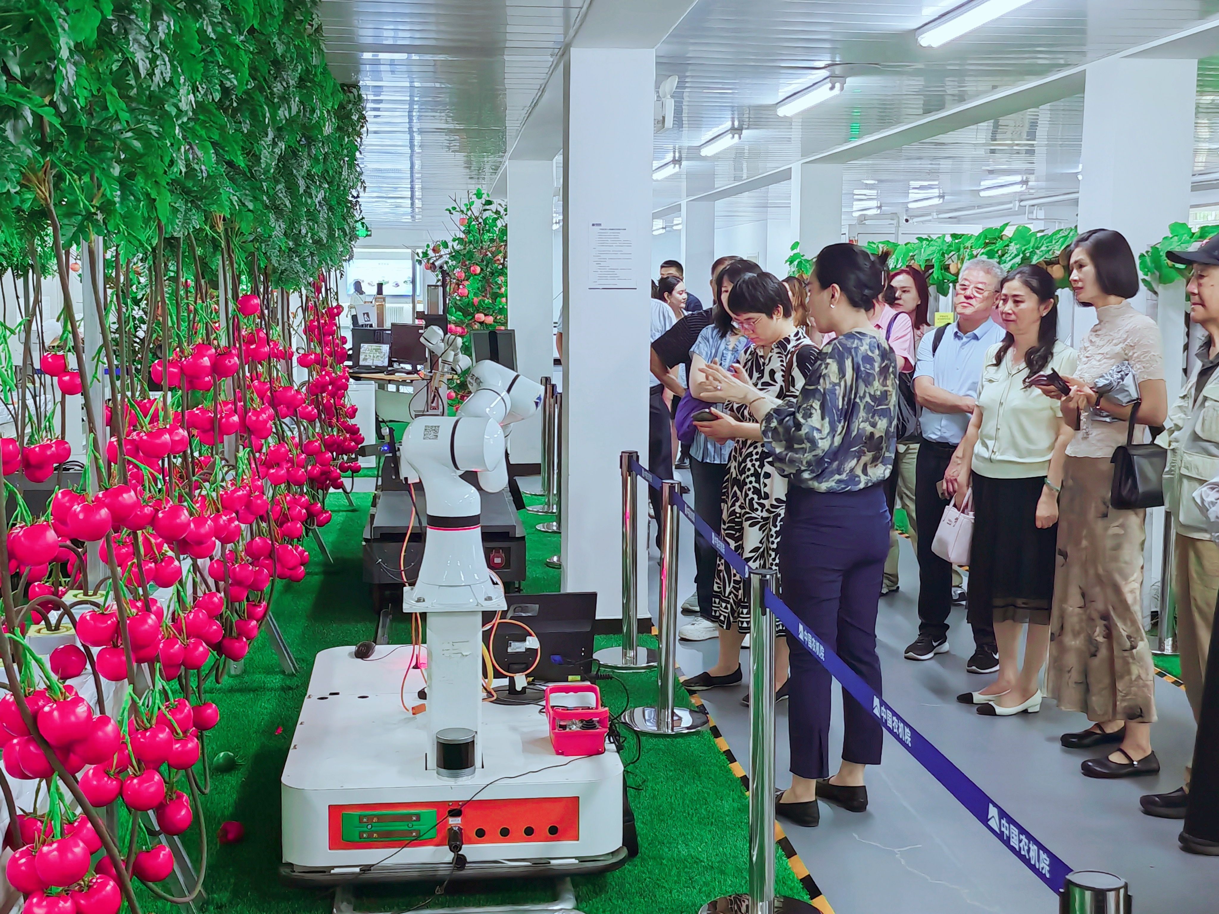 首页- Z6官网中国区人生就是博