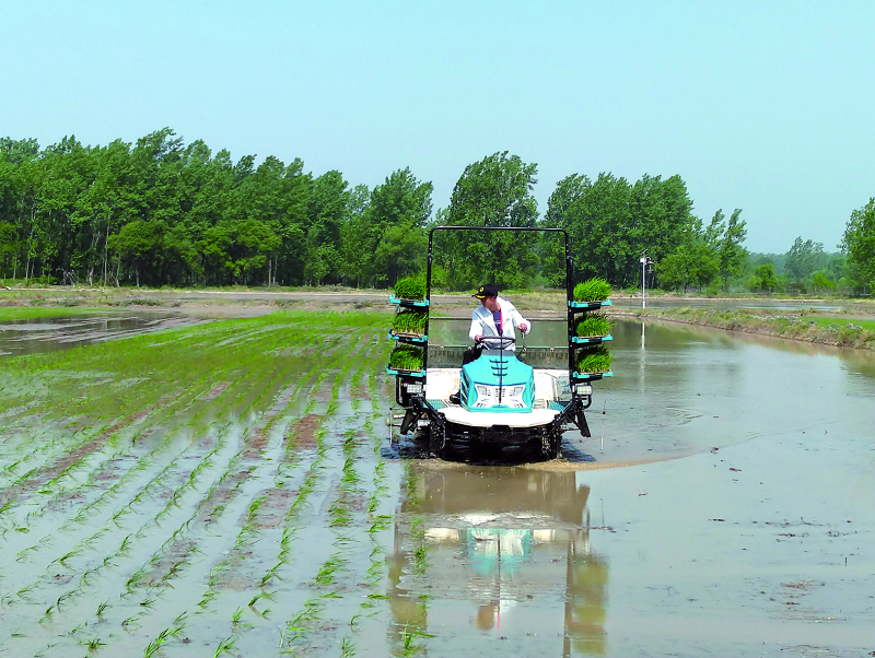 首页- Z6官网中国区人生就是博