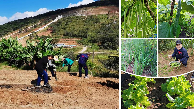 首页- Z6官网中国区人生就是博